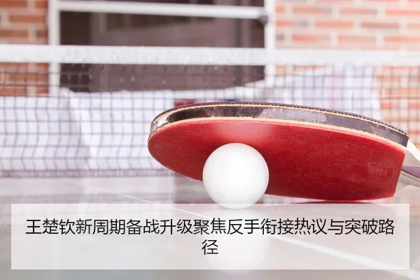 王楚钦新周期备战升级聚焦反手衔接热议与突破路径